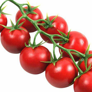 cherry-tomatoes